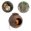 Natural Coconut for Shell Bird Nest House Hut Cage Feeder Toy with Hanging Lanyard for Pet Parrot