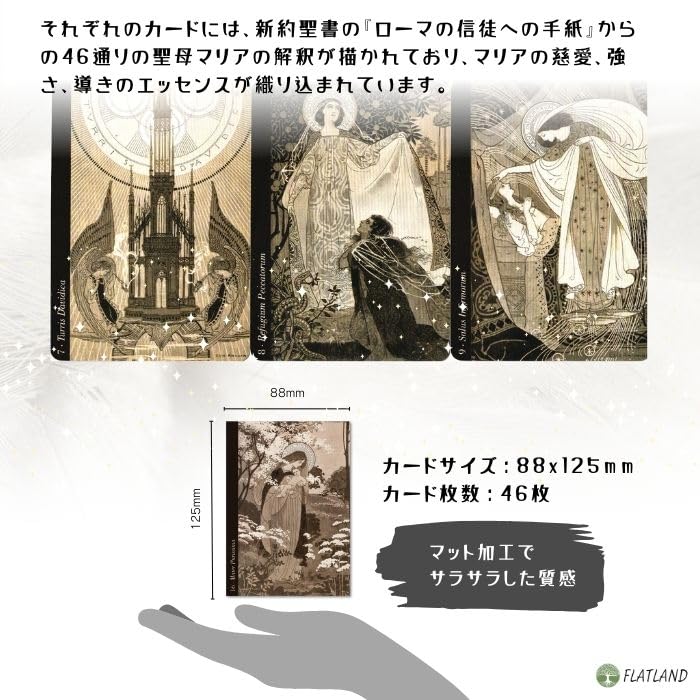 Authentic Divine Light Oracle Cards by Maria Ezio Anicini Instruction Manual (Japanese Included)