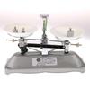 Double Pan Balance, 100g Capacity, Single Beam Analytical Weighing Learning