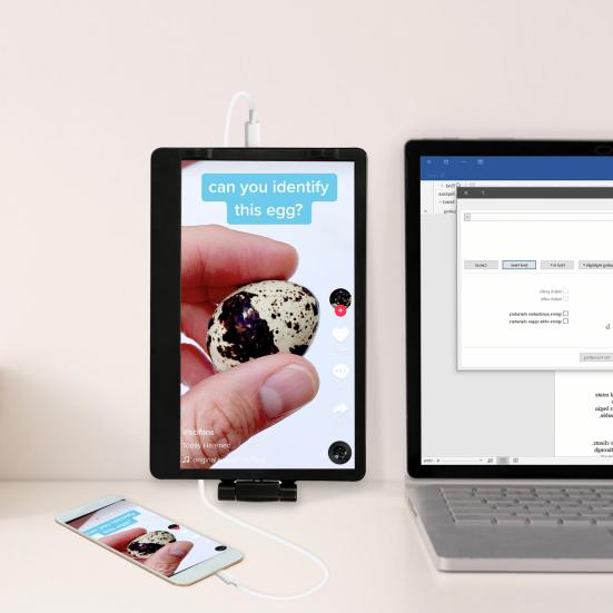 11.6 Inch EM116 Game Monitor Portable HDMI-compatible USB-C 1366x768 TN Computer Display Monitor for Laptop