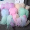 100PCS Macaron Color Feather Set for DIY Crafts Soft Decorative Accessories for Mask Making Dreamcatcher Design Christmas Gifts
