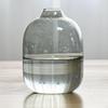 Clear Glass Jug Vase Bottle Decorative Plant Flower for Party Indoor Decor