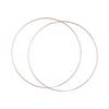 2 Pieces Metal Floral Hoops for DIY Projects And Wall Hangings