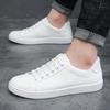 2025 New Fashionable Board Shoes for Young Students, White Shoes for Men, Korean Casual Shoes, Trendy Single Shoes