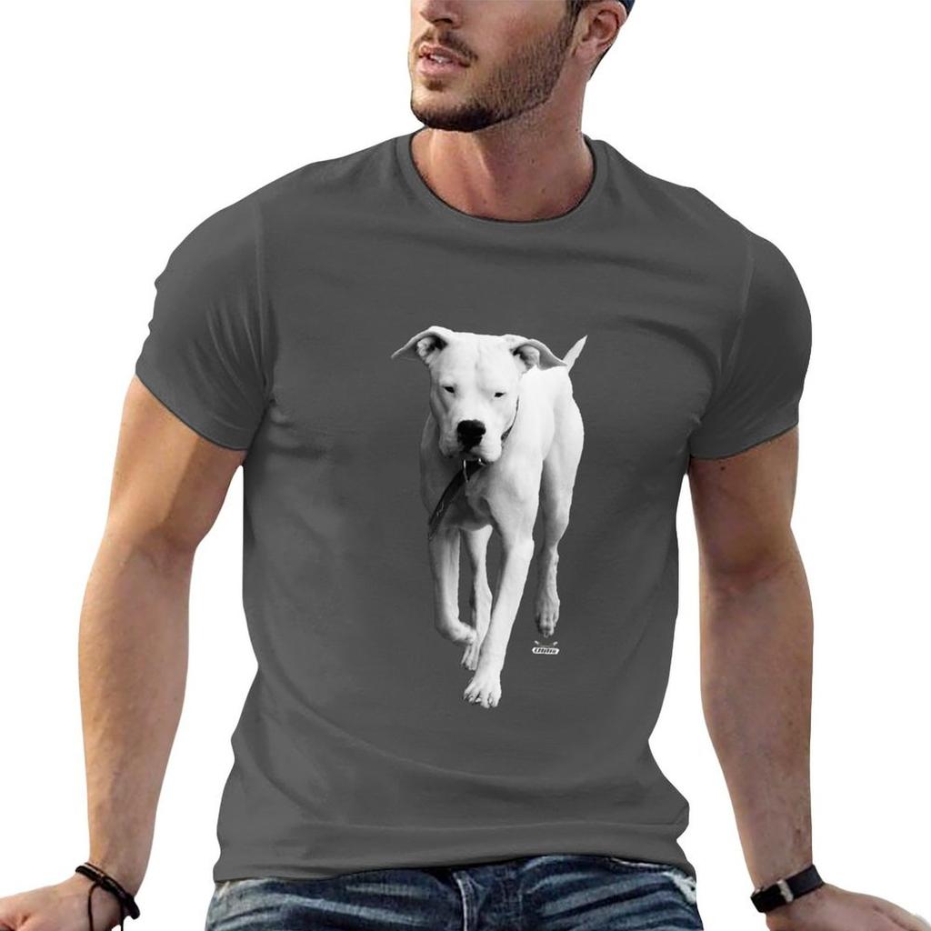 Dogo Argentino Swiss Artwork Photography Tshirt Unisex T Shirts Graphic T Shirts For Unisex Pack White Tshirt