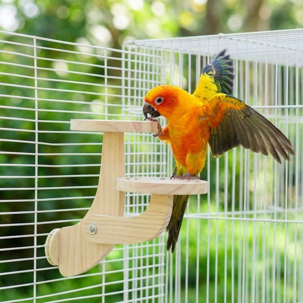 Wear Resistant Parrot Play Rack Bite Resistant Bird Training Stand Parrot Cage