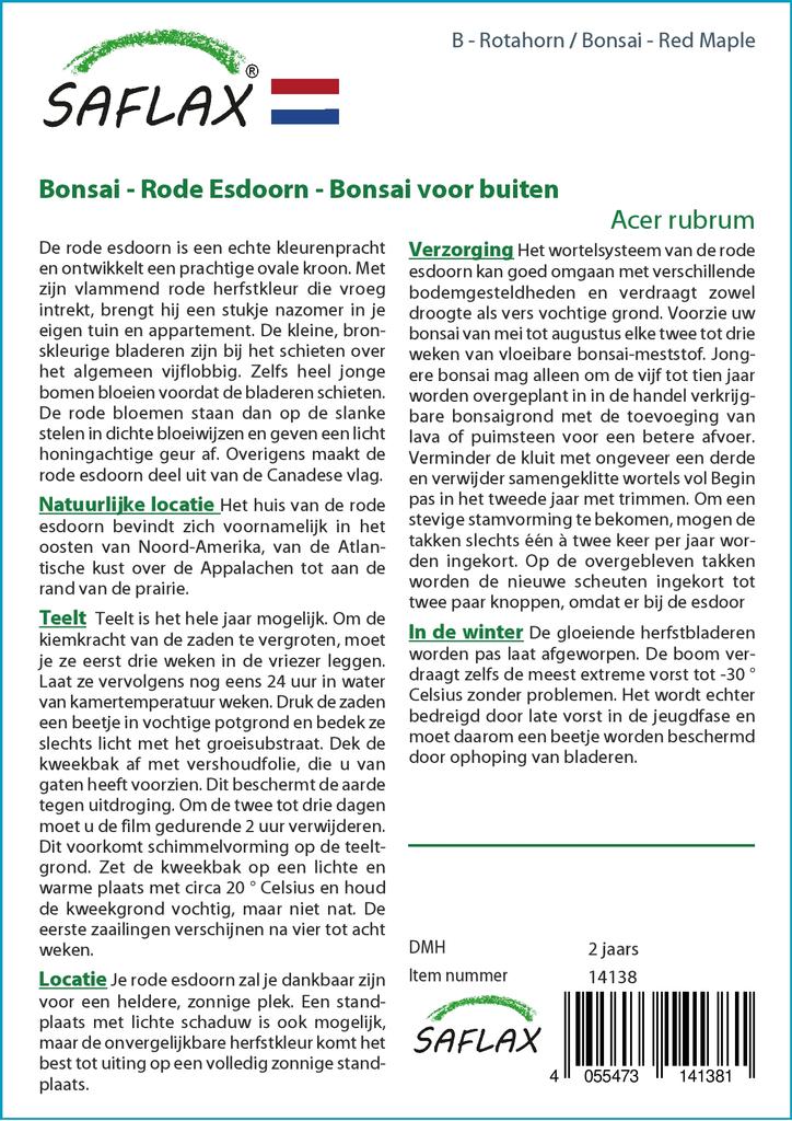 SAFLAX Бонсай - Красный клен - 20 семян - С горшечным субстратом для лучшего выращивания - Acer Rubrum