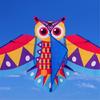 Owl Patterned Kites High Visibility Encourages Motor Skills Development Outdoor Exploration Gift