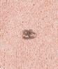 B-Flat Benetton Halterneck Boucle Knit Dress (Pink)