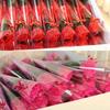 5pcs/lot Bath Artificial Carnation Flower Party Mother's Day Gift Decoration Valentine's Day Gift