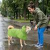 Dirt-Resistant Pet Rain Cloak Hooded Design Frog Pet Poncho Green Dog Rain Jumpsuit  Small Dogs