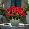 Artificial Begonias Bunch Reusable Wedding Party Decor Faux Flowers Fake Begonia Flowers for Home Interior Garden Porch Decoration