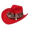 Feather Ethnic Style Top Hat Upturned Edge Western Cowboy Hat Guoluo Tibetan Tibetan Jazz Hat Hat