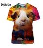 Cute hamster pattern T-shirt, men's and women's 3D printed short-sleeved men's T-shirt, extra large size hip-hop T