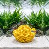 Ландшафтный орнамент для аквариума, пещера для креветок, 3D-печатный сотовый домик для петушка, укрытие для нереста, пористая сфера-укрытие для гуппи