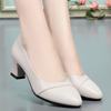 Soft Sole Comfortable Work Shoes Women's Professional Mid-heel Shoes Single Shoes Shallow Mouth Leather Shoes