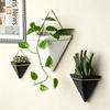 Wall-Mounted Ceramic Hydroponic Flower Vase for Succulents and Green Radish