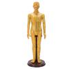 Акупунктурная модель, точная полнотелая модель человеческих акупунктурных точек с основанием, вращающимися руками для обучения, демонстрации студентам