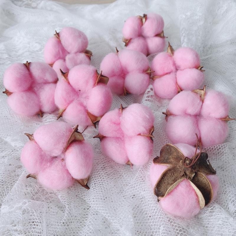 Natural Dried Pine Cones for Christmas Tree Decoration, Photography Props, Floral Wreaths, and Bouquets.