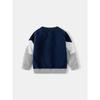 Autumn and Winter Boys' round Neck Long Sleeve Sweater Kids Double-Layer Thickened Cotton Cotton Knitwear Baby Boys' Knitwear 2024 New Arrival