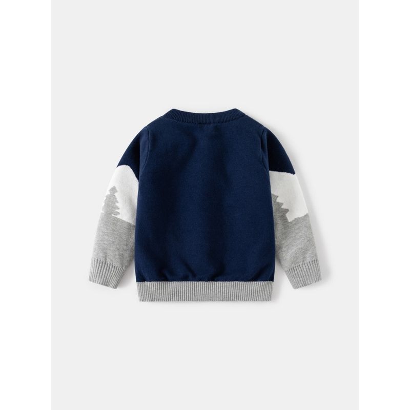Autumn and Winter Boys' round Neck Long Sleeve Sweater Kids Double-Layer Thickened Cotton Cotton Knitwear Baby Boys' Knitwear 2024 New Arrival