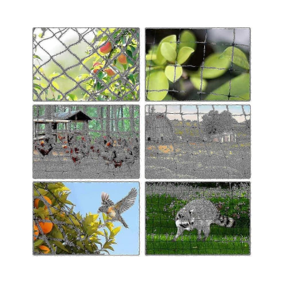 15m X 15m Anti Bird Net Uv Stabilized Hdpe Mesh with 5cm X 5cm Holes M