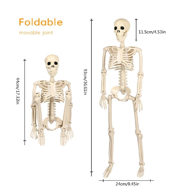 Реалистичный Подвесной Скелет во Весь Рост с Подвижными Суставами Реквизит для Хэллоуина, Дома с Привидениями, Ужасное Украшение Черепа
