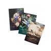 Колода оракула Spirit of The Animal 12x8,3 см. 51 разное животное-помощник и откройте для себя его мощные лекарства с руководством для начинающих.