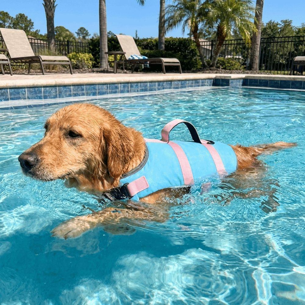 Waterproof Dog Life Jacket High Flotation Pet Surfing Costume Pet Clothes Pet Life Vest Swimming