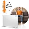 Инфракрасный обогреватель Berdsen Bd-981 600 Вт с дистанционным управлением по Wi-Fi и приложением
