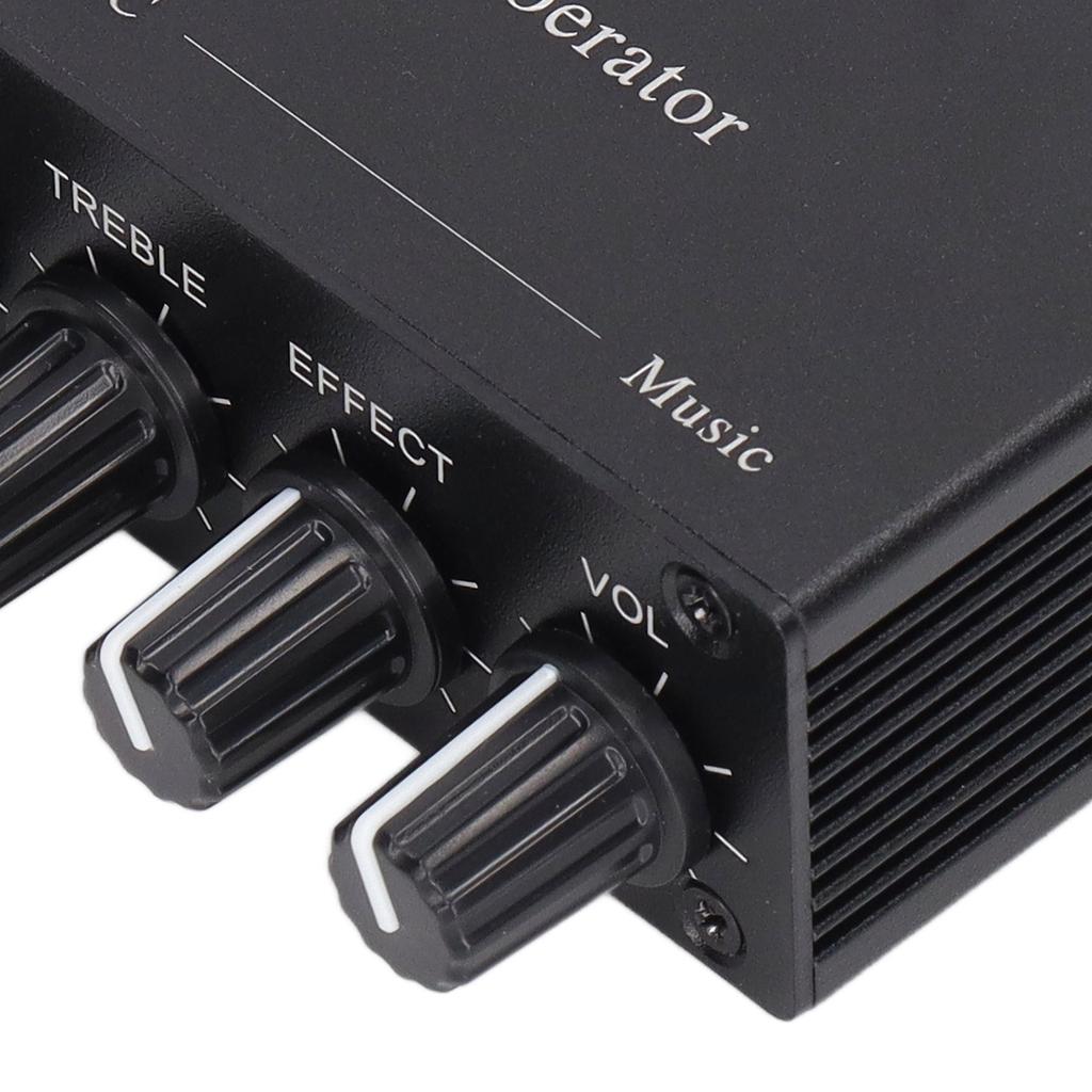 Цифровой ревербератор стерео усилитель Bluetooth 5.0 двойной микрофонный вход DC 12V