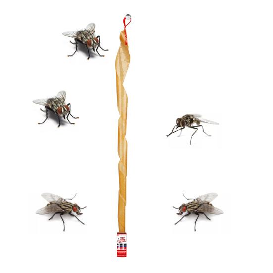 Strong Adhesive Sticky Fly Paper Safe No Insecticides Double-sided Anti-insects Sticky Household Supplies