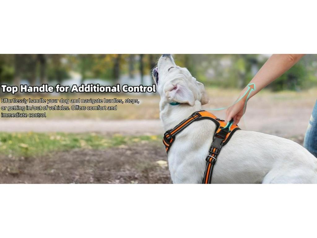 Нейлоновая шлейка для груди и поводок для крупных питомцев