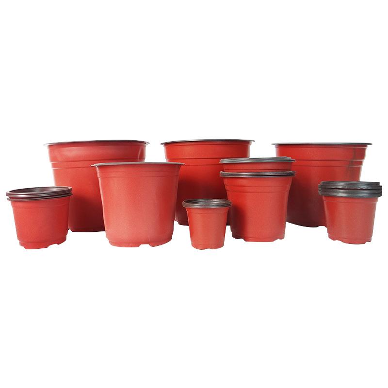 Dual-Color Seedling Tray: Thickened PP Material Planting Pot for Strawberries & Succulents, Available in Multiple Specifications.