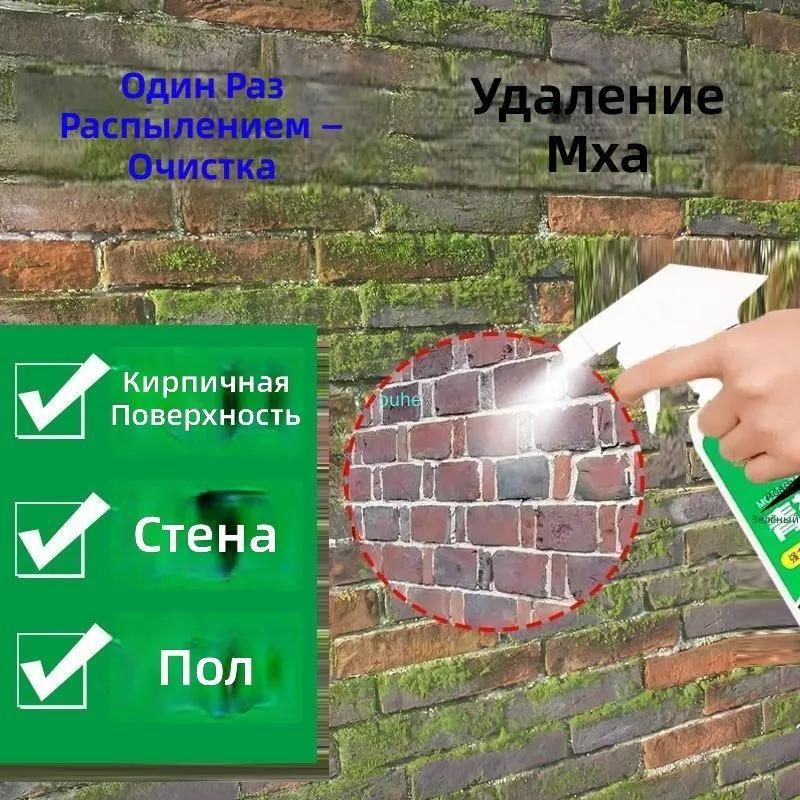 Moss and algae remover for concrete, walls, stone, 300 ml