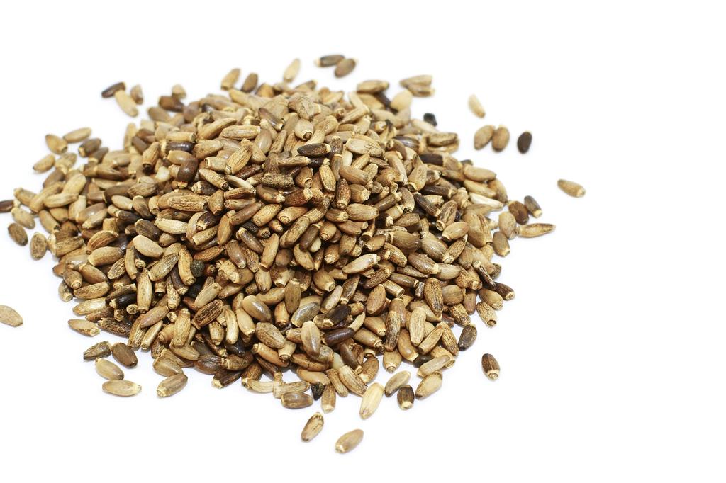 SAFLAX Garden in the Bag - Расторопша пятнистая - 75 семян - С субстратом в подходящем стоячем пакете - Расторопша пятнистая