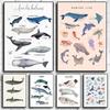 Мультфильмы Морские животные Киты и акулы Руководство Плакаты и принты Картина на холсте Настенные художественные картины Украшения для дома