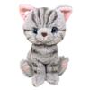 Sunlemon Котенок Американская короткошерстная Серый 15 x 17,5 x 6,8 см Плюшевое животное Кошка