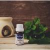Blue Purple Essential Oil Peppermint Room Fragrance 10ml