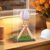 Baseball Display Case with Wood Stand Ball Showcase Clear Acrylic Collectibles Box Gift for Autograph