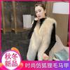Осенний новый жилет из искусственного меха корейской версии, женский жилет средней и длинной длины, приталенный пуховый жилет, модное пальто в иностранном стиле