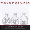 Mesopotamia by Serhiy Zhadan Paperback Book 9780300223354