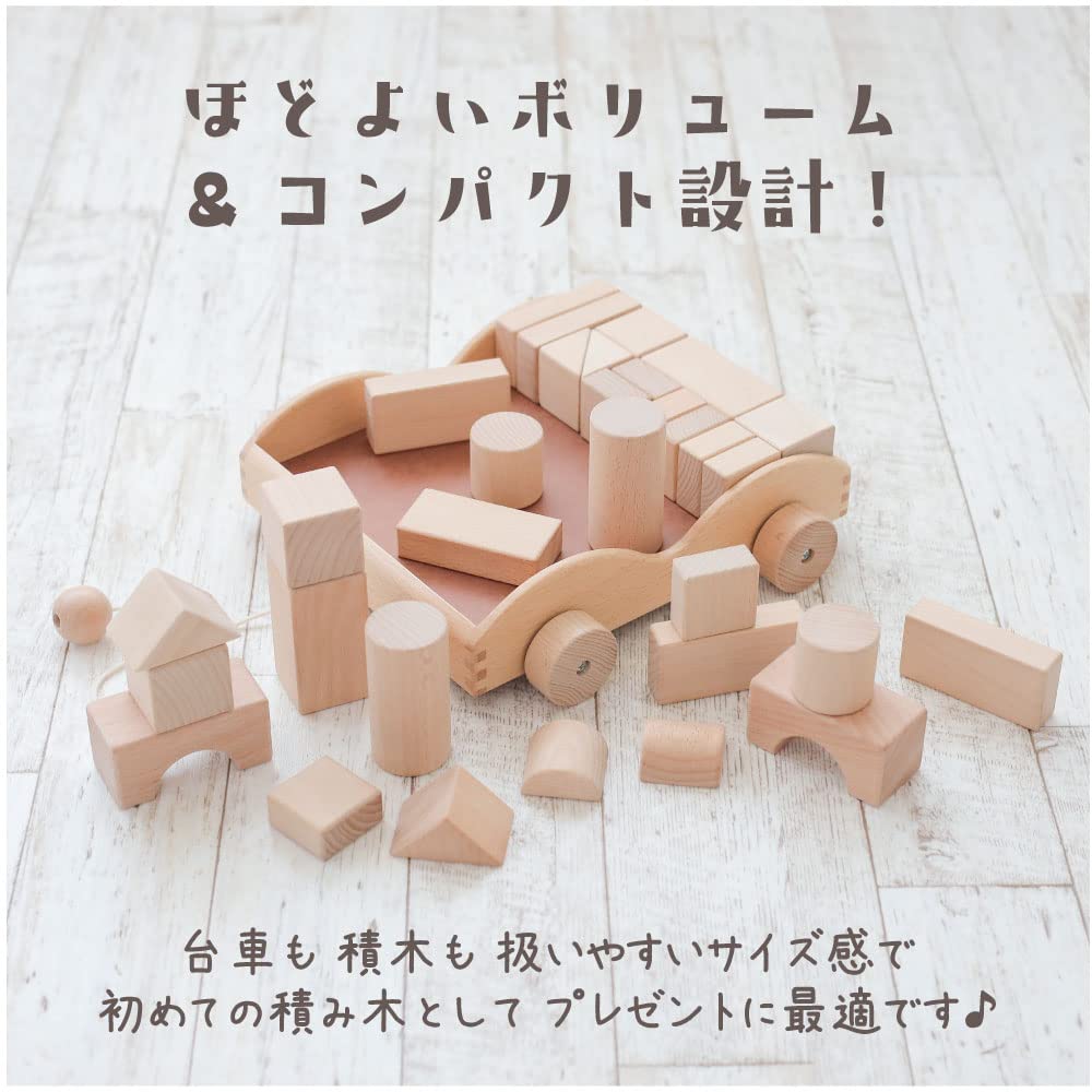 Daiwa Wooden Toy Building Blocks [4cm Base Scale] [Set of 32 Unpainted Building Blocks] with Dolly, 9 Shapes Available, Building Blocks, Blocks, Ages