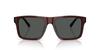 Sunglasses 0EA4232F TRANSPARENT BROWN 57 [Emporio Armani]