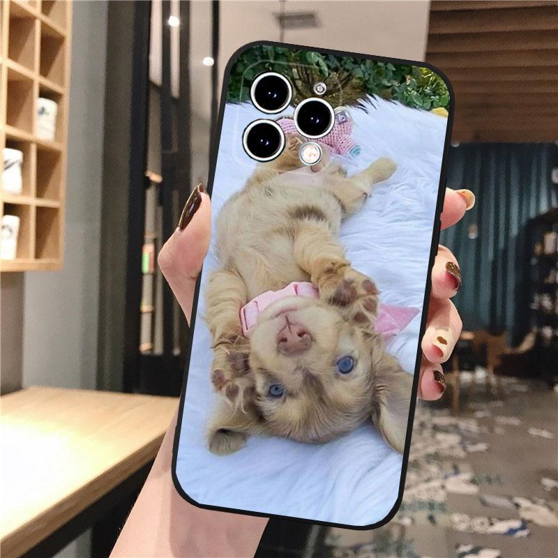 Чехол для телефона Carcasa Funda Для iPhone 17 Pro Max 17 Air 16 15 14 13 Pro Max 15 16 Pro 15Plus Такса Собака