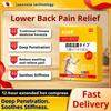 6 Patches/Box Herbal Analgesic Patch for Lumbar Disc Herniation and Sciatica. Deep-Penetrating Pain Relief Patch for Back, Joints, and Nerve Pain.