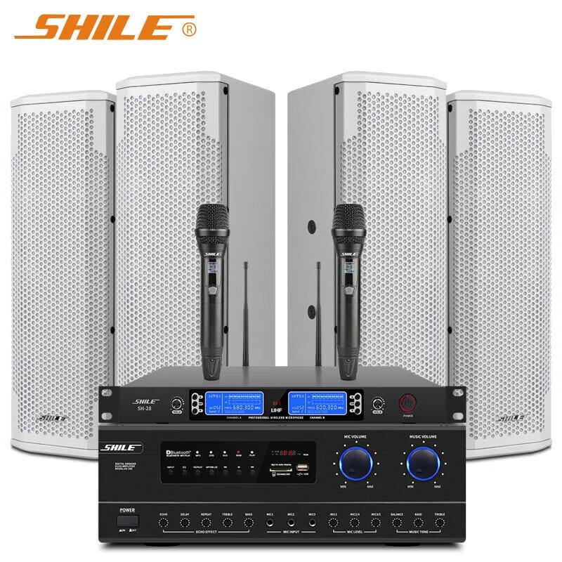 SHILE Professional Conference & Training Sound System - AV108+BX402+SH28 (CN version)