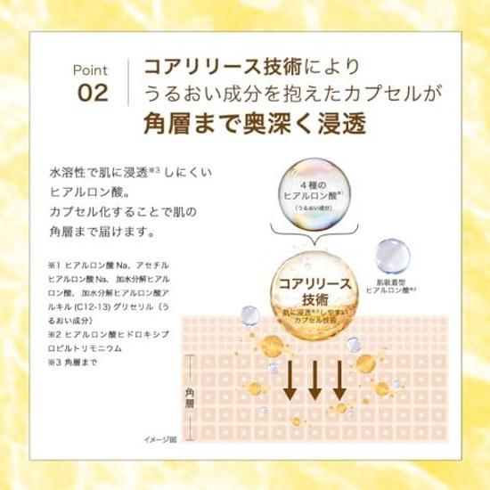 Hada Labo Gokujyun Идеальный Гель Сменный Блок 80г