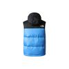 THE NORTH FACE THE NORTH FACE Apparel Collection Vests Men's Blue Stand Collar Moderate Other NF0A3JQQ-LV6