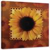 Canvas Print Sunflower Nature